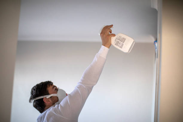 Best Black Mold Remediation in Ferrum, VA