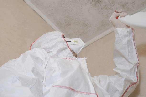 Best Mold Remediation for Schools in Ferrum, VA
