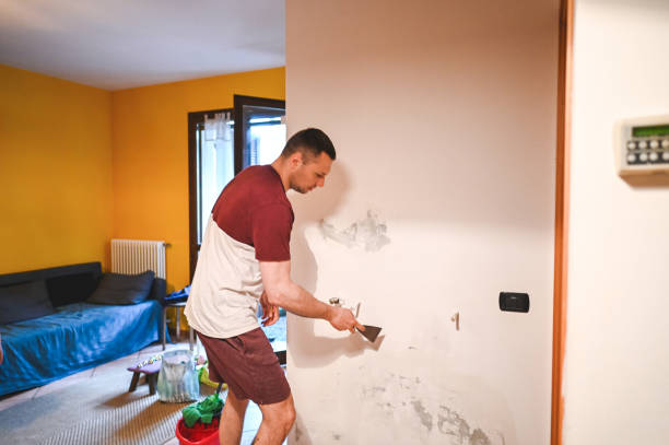 Best Crawl Space Mold Remediation in Ferrum, VA
